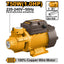 INGCO PERIPHERIAL PUMP 750W 1" X 1" MAX HEAD 52M MAX FLOW 50L/MIN VPM75068