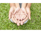 BEE6421 NON-ALCOHOL HAND SANITISER