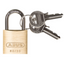ELORA 256 PADLOCK FOR CANTILEVER TOOL BOX