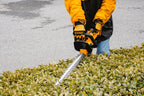 INGCO 20V HEDGE TRIMMER 450MM 1X2.0AH & CHARGER CHTLI20461
