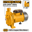 INGCO CENTRIFUGAL PUMP 370W 1" X 1" MAX HEAD 18M MAX FLOW 80L/MIN CPM3708