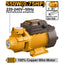 INGCO PERIPHERIAL PUMP 550W 1" X 1" MAX HEAD 45M MAX FLOW 45L/MIN VPM55068