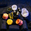 NITECORE WATERPROOF AA BATTERY POD (8XAA)
