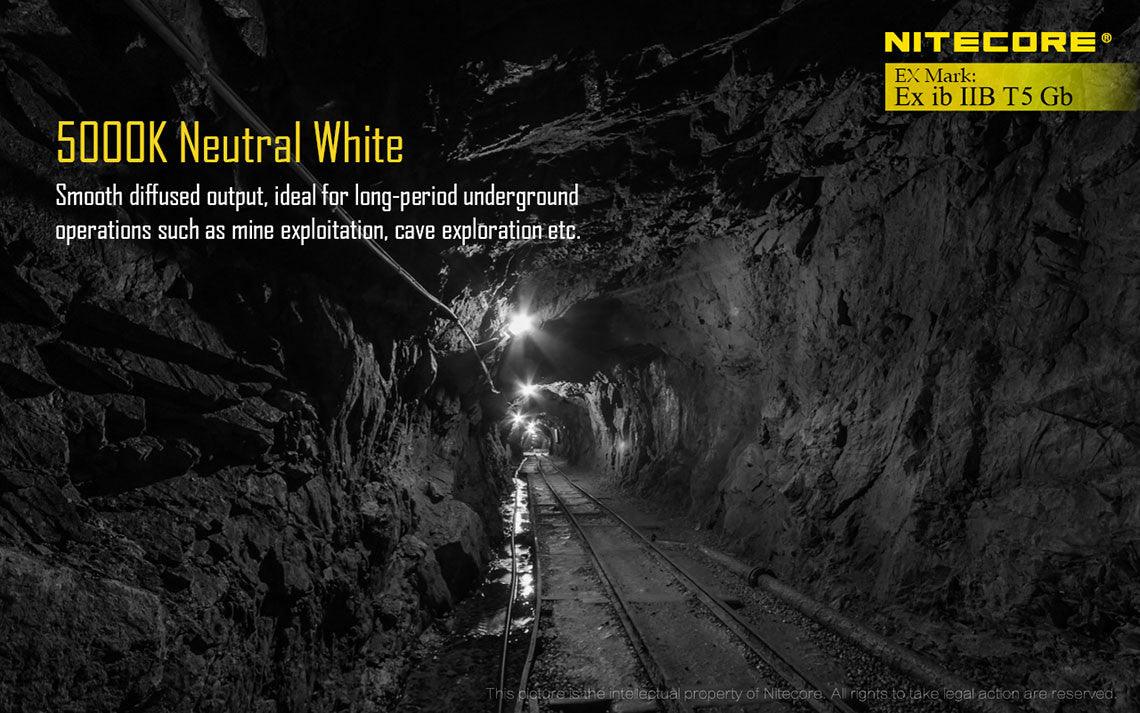 NITECORE EH1 - 260 LUMENS (HEADBAND INCLUDED)