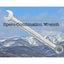 SPERO- COMBINATION WRENCH INCHES