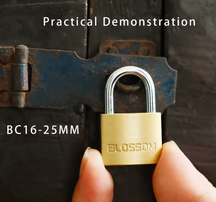 BLOSSOM HIGH SECURITY SOLID BRASS PADLOCK BC16