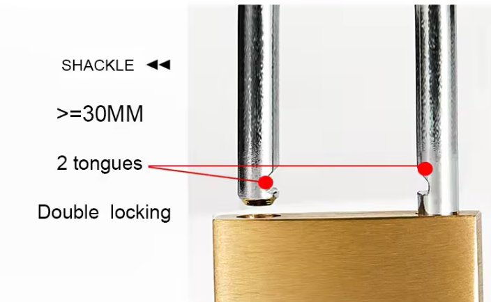 BLOSSOM HIGH SECURITY SOLID BRASS PADLOCK, LONG SHACKLE, BC16L